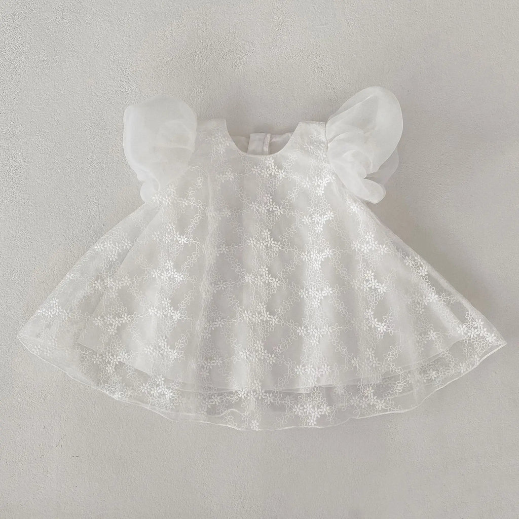 Summer New 0-3 Year Old Baby Clothing, Exquisite Baby Girl Dress, Bubble Short Sleeved Lace Skirt