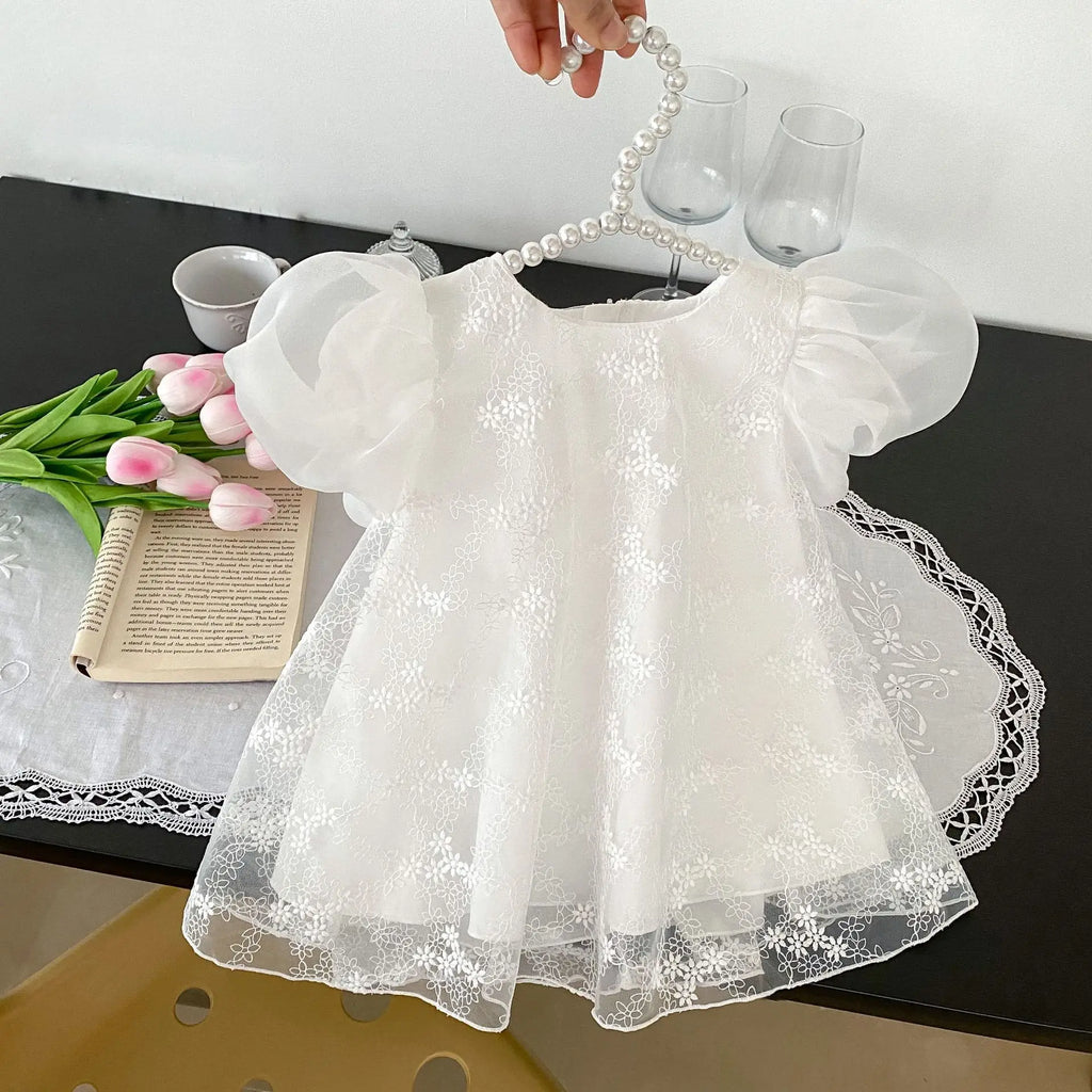 Summer New 0-3 Year Old Baby Clothing, Exquisite Baby Girl Dress, Bubble Short Sleeved Lace Skirt